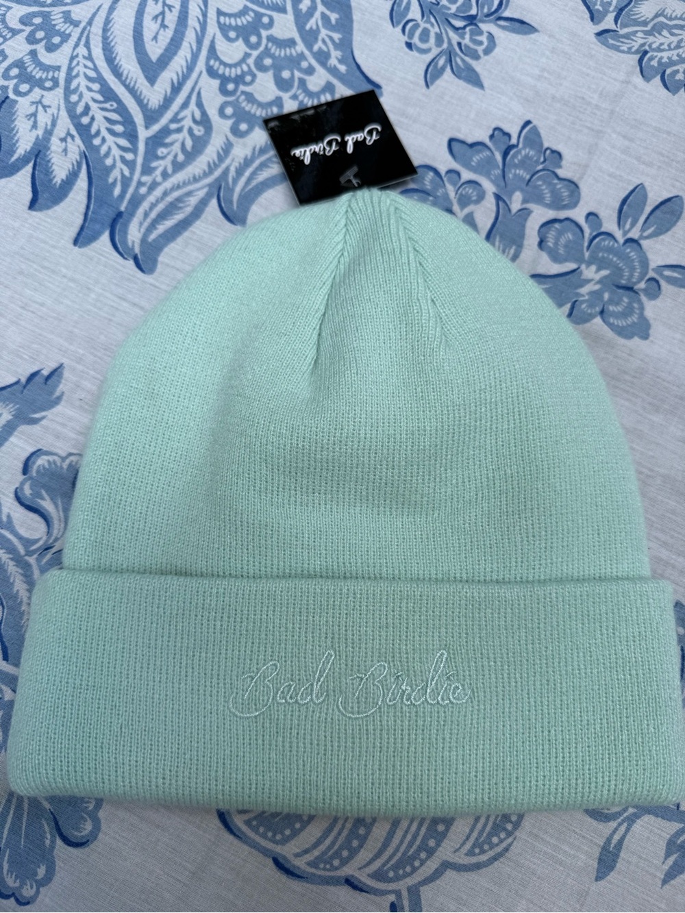 Bad Birdie Script Beanie Mint Green Cuffed Knit Hat BBH115-503-028 NEW